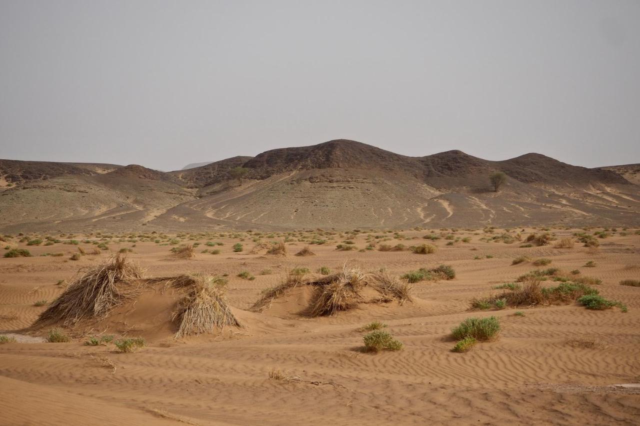 Riad Imuhar M'Hamid Exterior foto